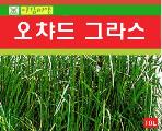 The sowing suspicion other seed - the frui...  Made in Korea